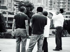 cctv f在线观看,在线观看轻松获取 第3张 cctv f在线观看,在线观看轻松获取 第3张